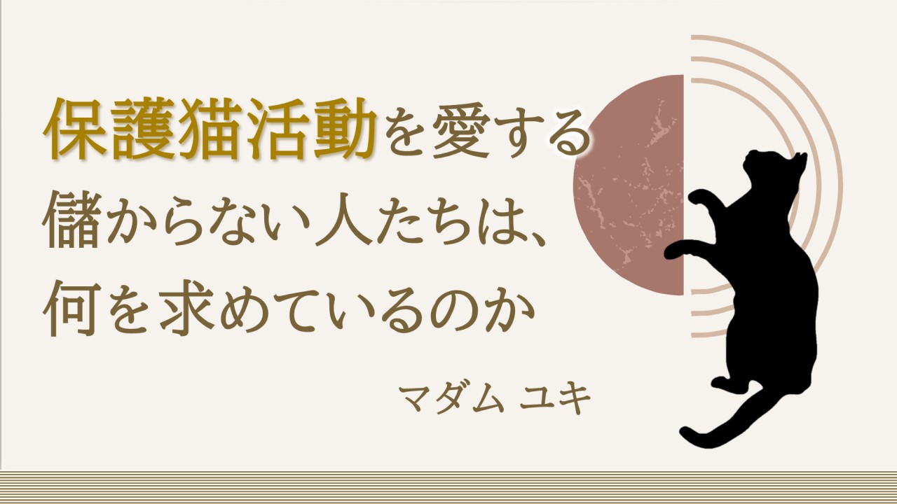 保護猫活動を愛する儲からない人たちは、何を求めているのか