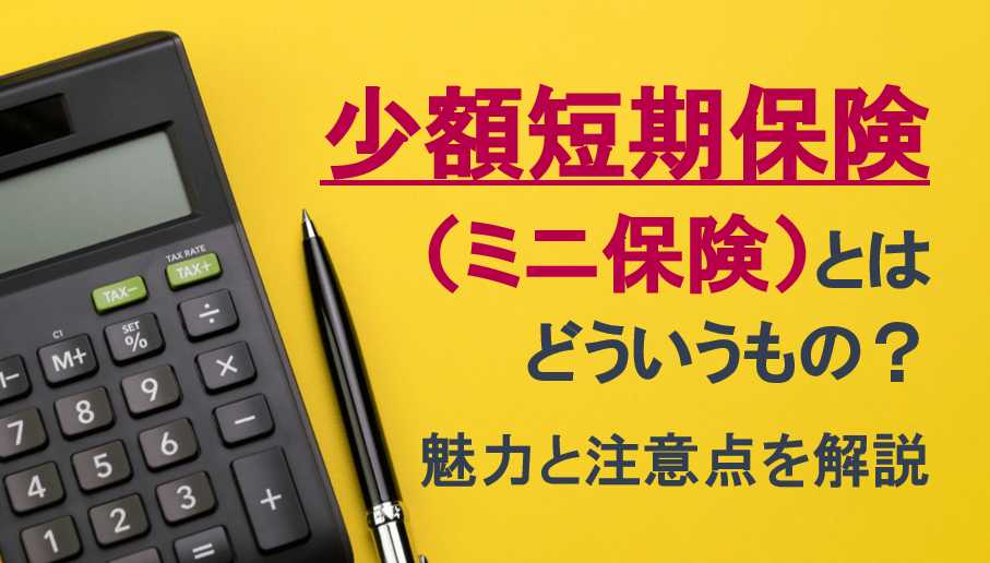 少額短期保険（ミニ保険）とはどういうもの？所得控除の対象になる？　魅力と注意点を解説