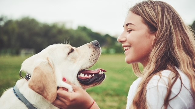 【獣医師監修】犬が牛乳を飲んでも大丈夫？人間用はダメ？加熱や薄めるべき？適量や与え方も！