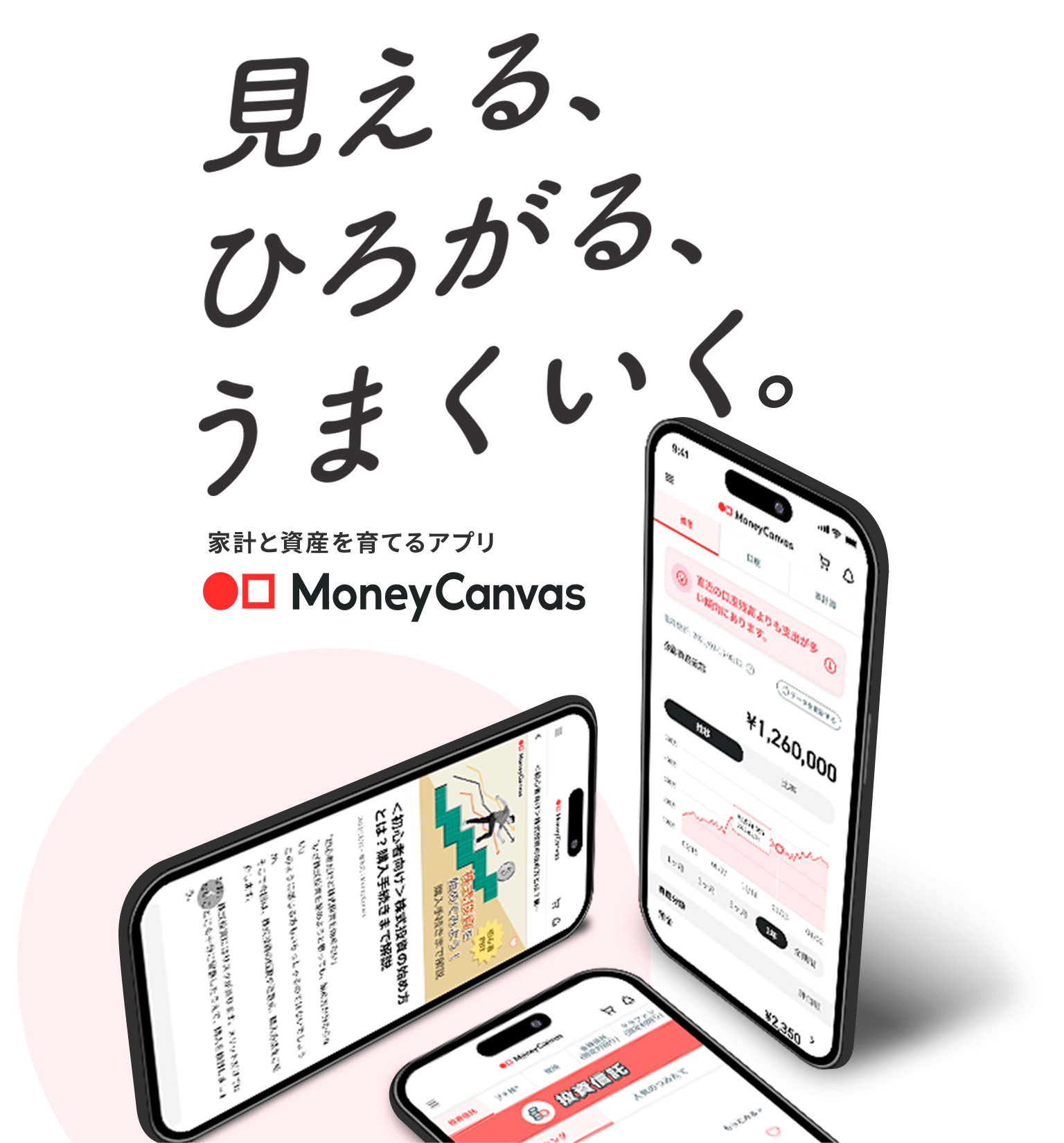 見えるひろがる、うまくいく。家計と資産を育てるアプリMoneyCanvas